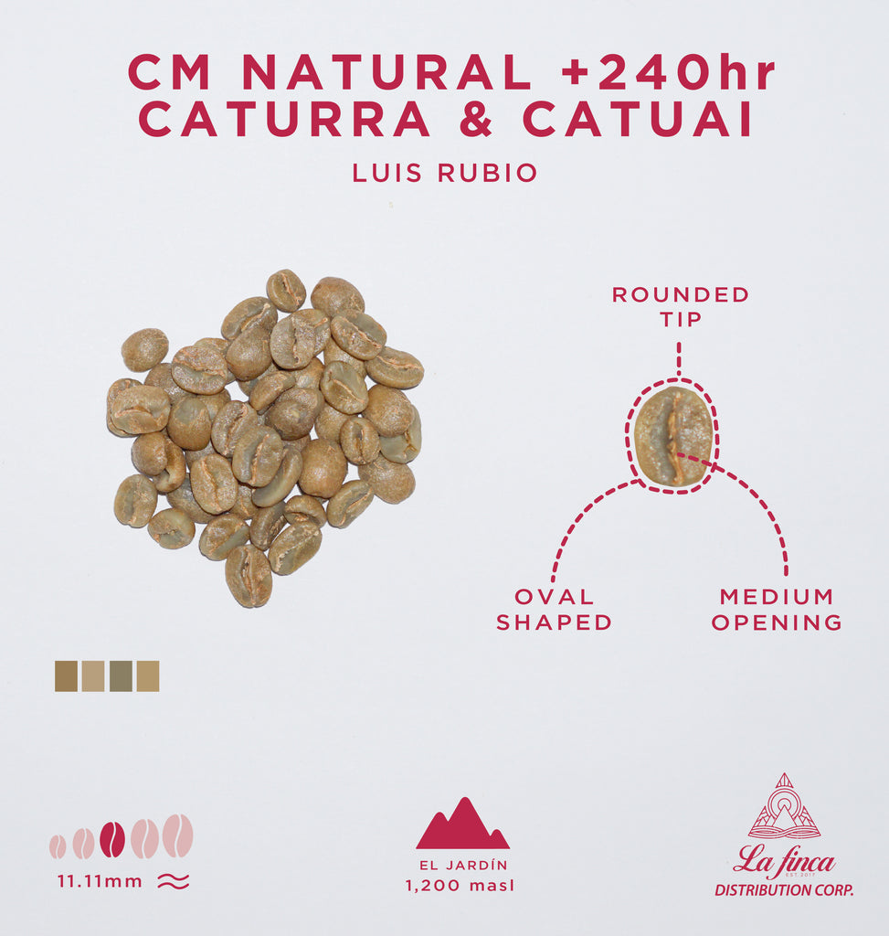 CM Natural +240hr Caturra & Catuai • Luis Rubio