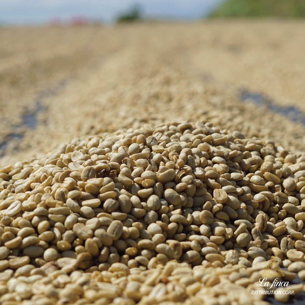 Petroleum Coffee