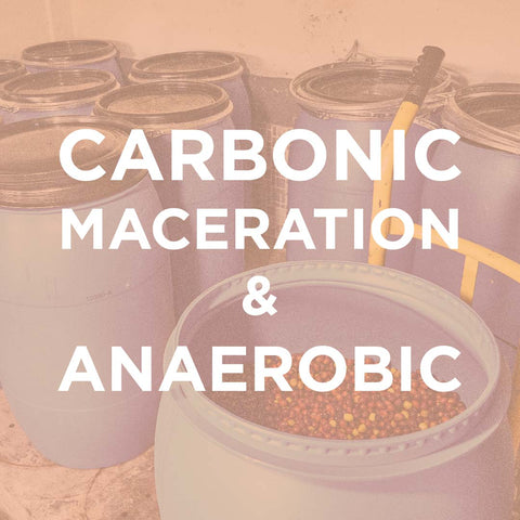 Anaerobic