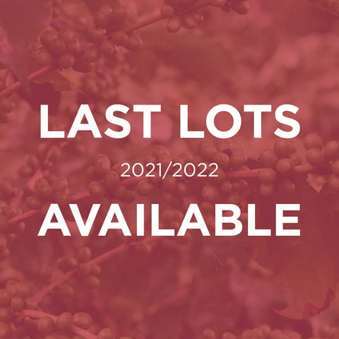 OUR LAST LOTS AVAILABLE
