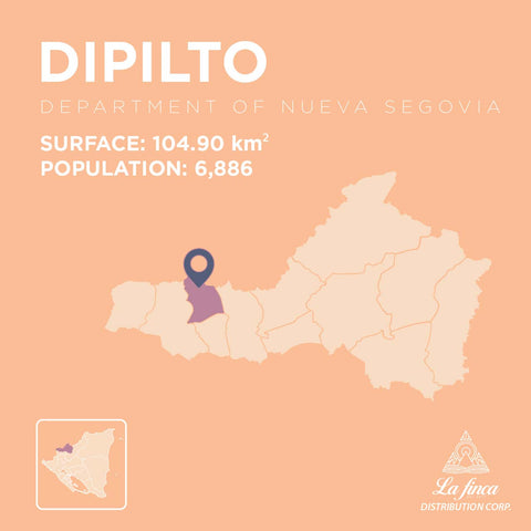 Dipilto