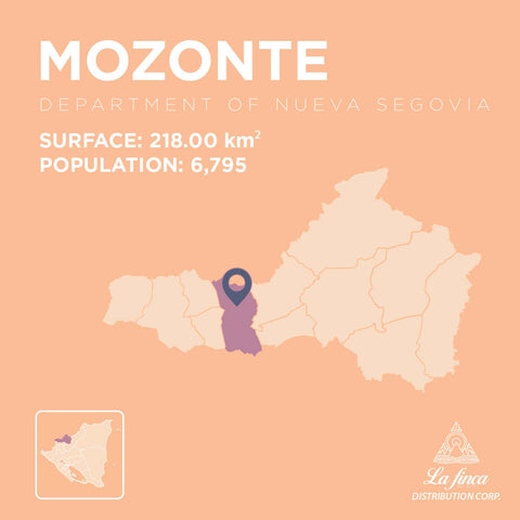 Mozonte