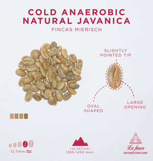Cold Anerobic Natural Javanica • Fincas Mierisch