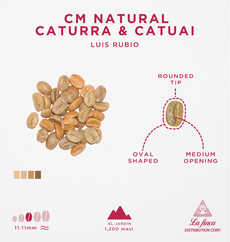 CM Natural Caturra & Catuai • Luis Rubio