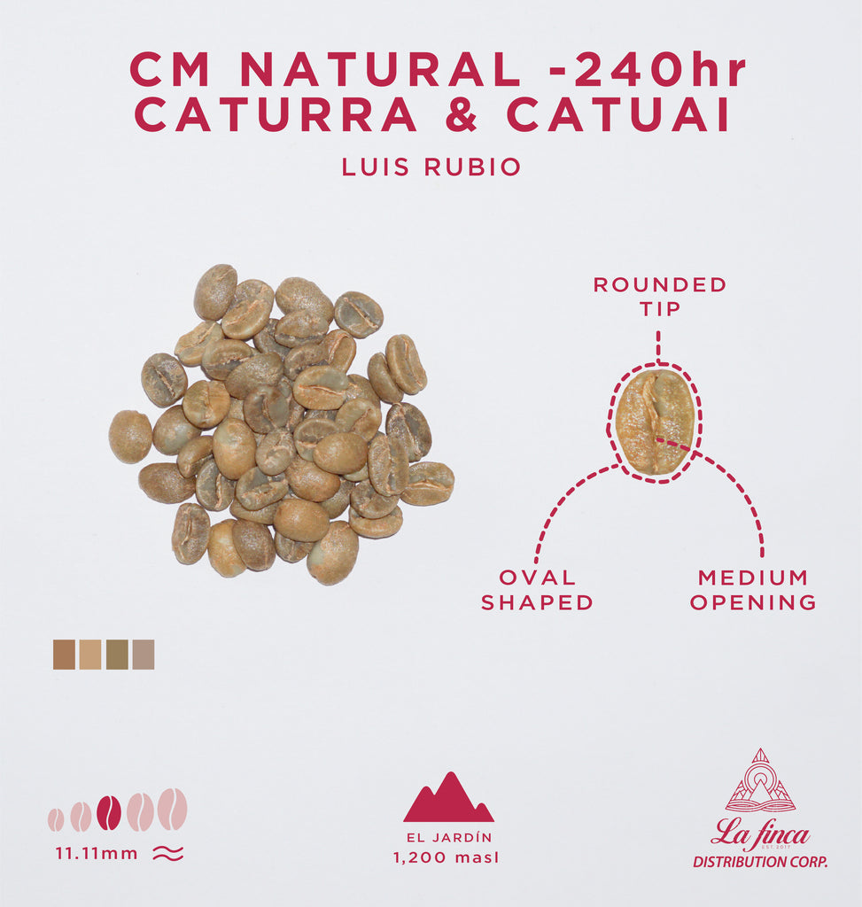 CM Natural -240hr Caturra & Catuai • Luis Rubio