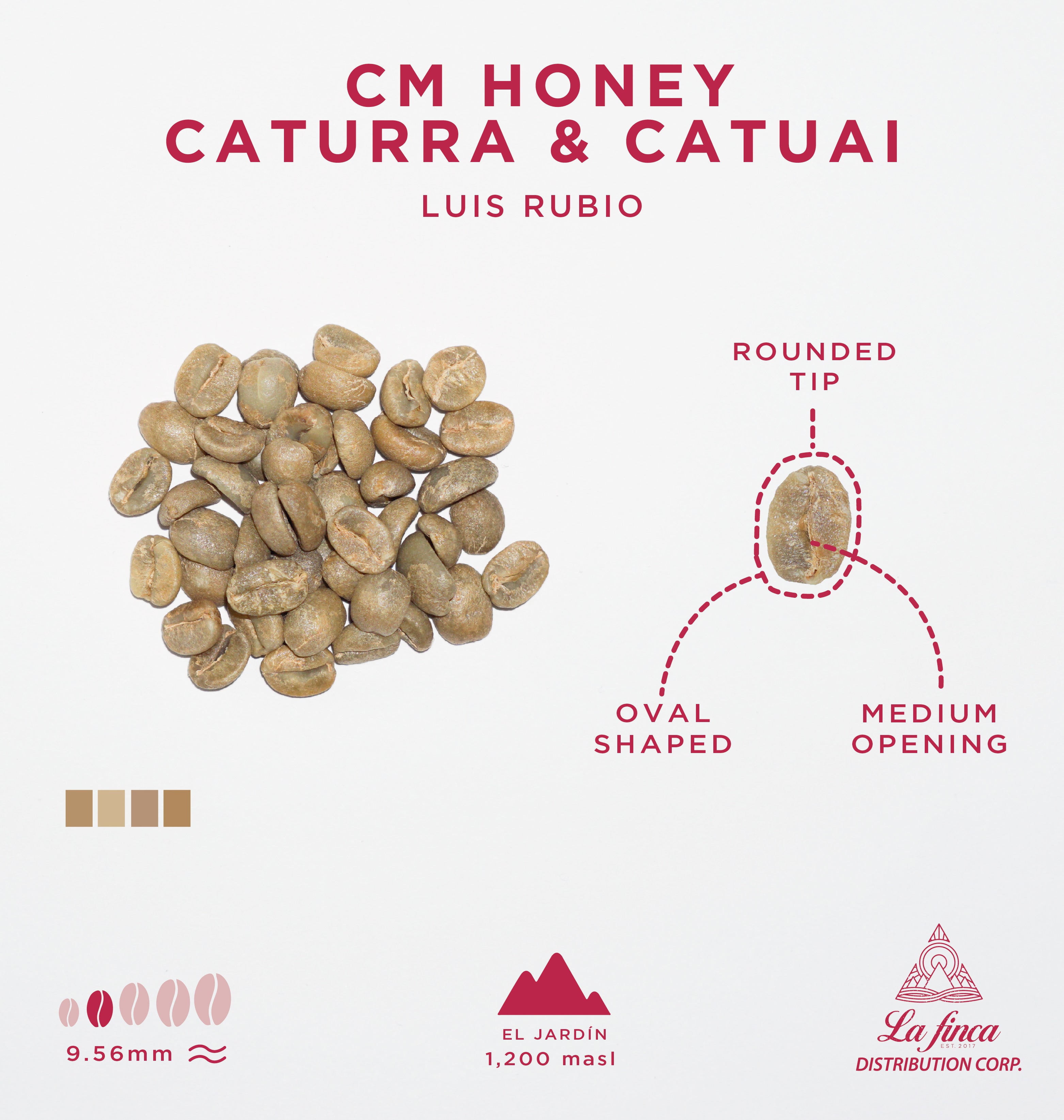 CM Honey Caturra & Catuai • Luis Rubio