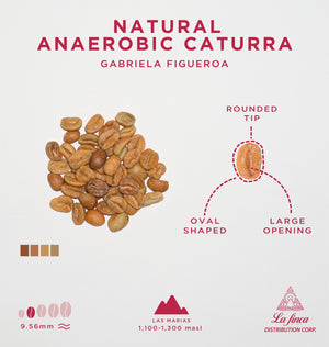 Natural Anaerobic Caturra • Gabriela Figueroa
