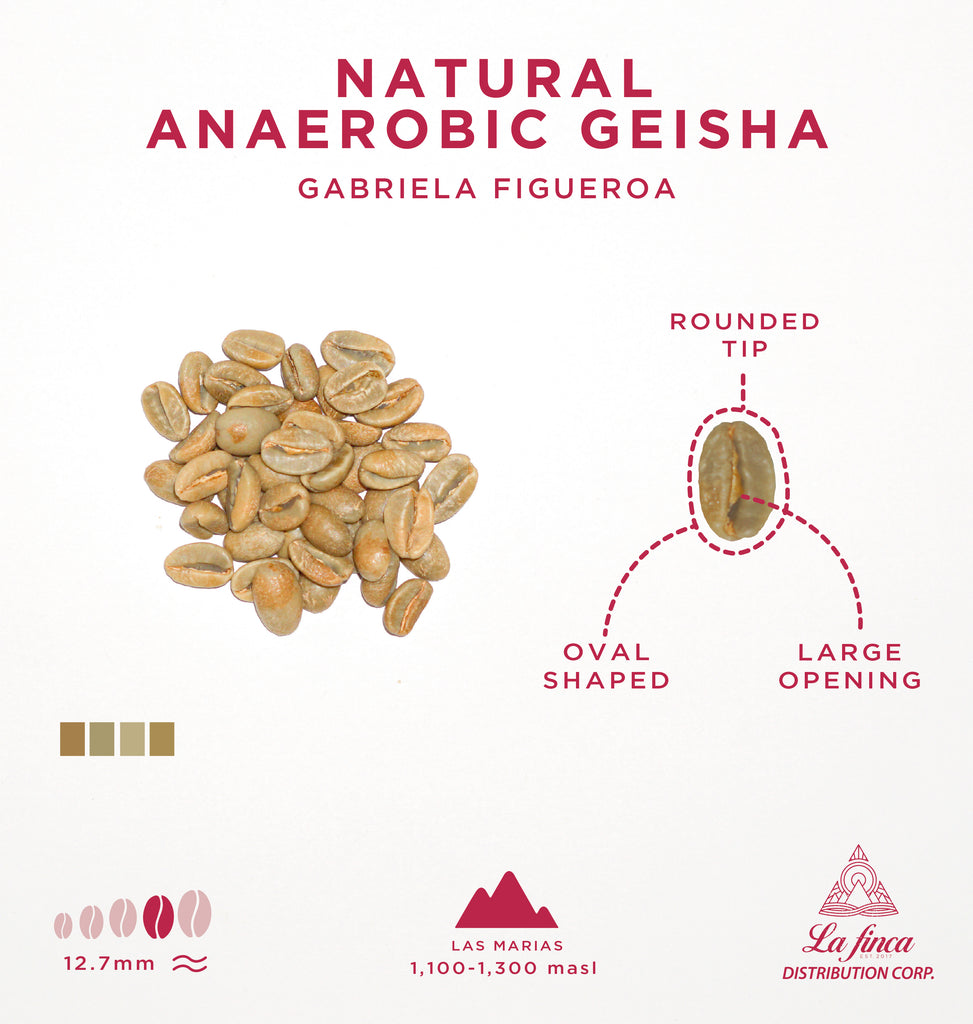 Natural Anaerobic Geisha • Gabriela Figueroa