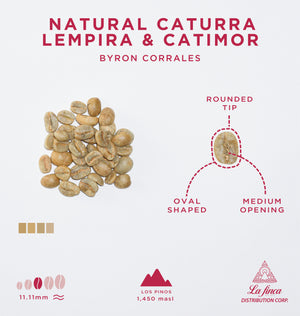 Natural Caturra, Lempira & Catimor • Byron Corrales