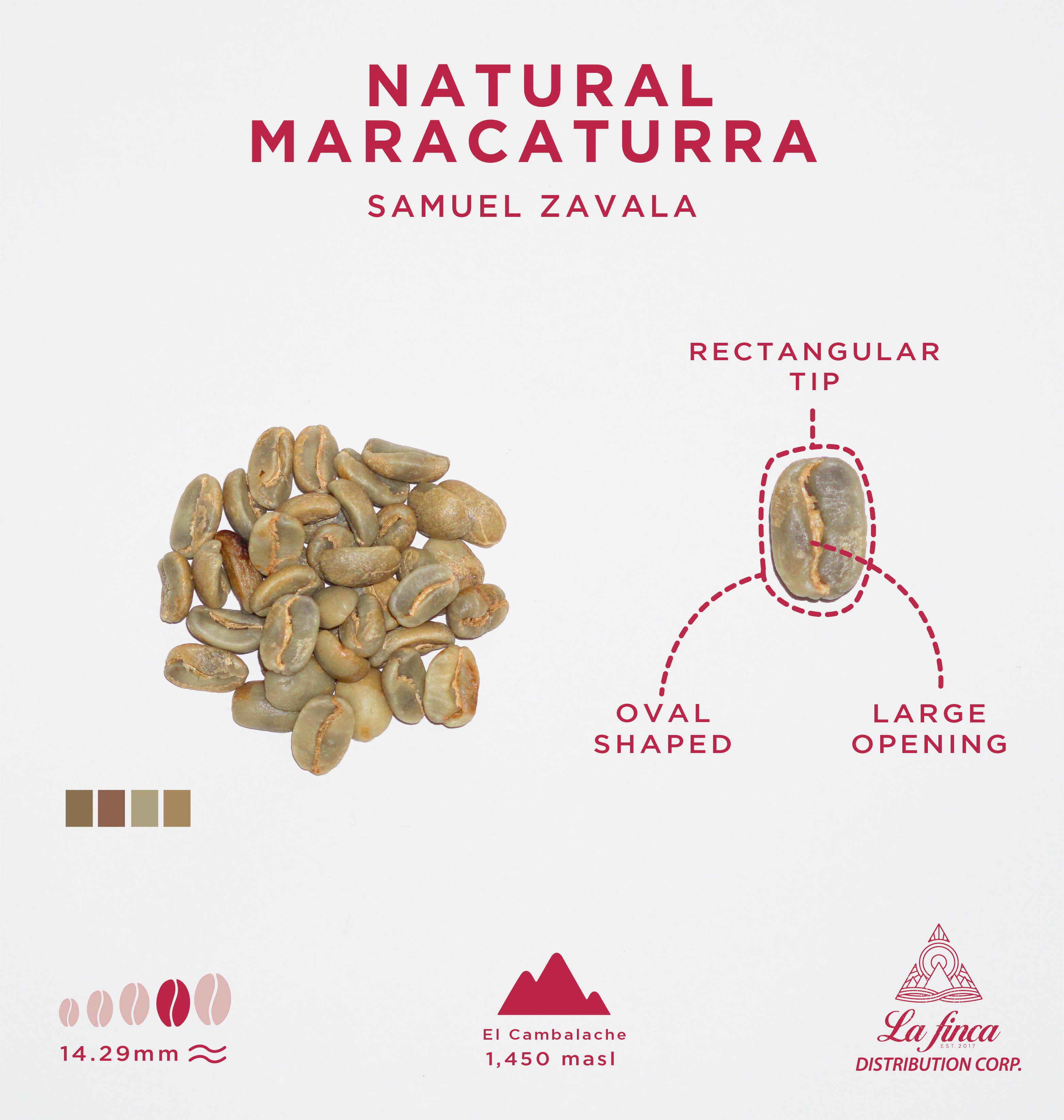 Natural Maracaturra • Samuel Zavala