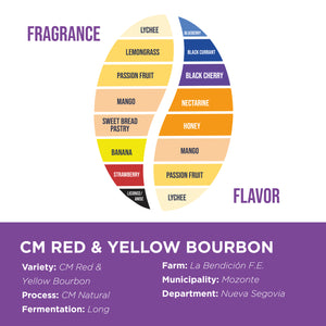 CM Red & Yellow Bourbon • Sergio Jarquín