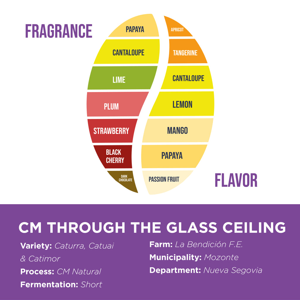 CM Through the Glass Ceiling • Sergio Jarquín