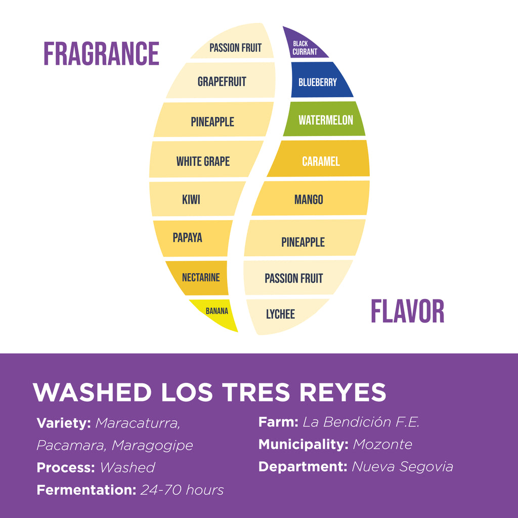 Washed Los Tres Reyes • Sergio Jarquín