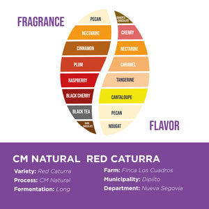 CM Natural Red Caturra • Luis Rubio