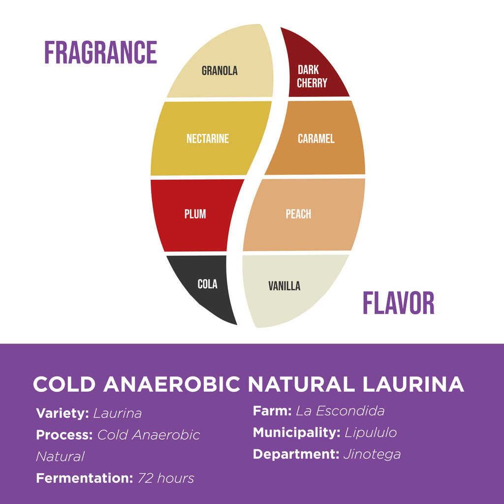 Cold Anaerobic Natural Laurina • Fincas Mierisch