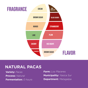 Natural Pacas • Fincas Mierisch