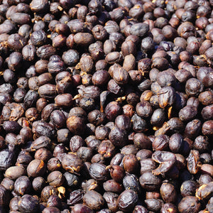 Natural Sarchimor - Finca Cielito Lindo
