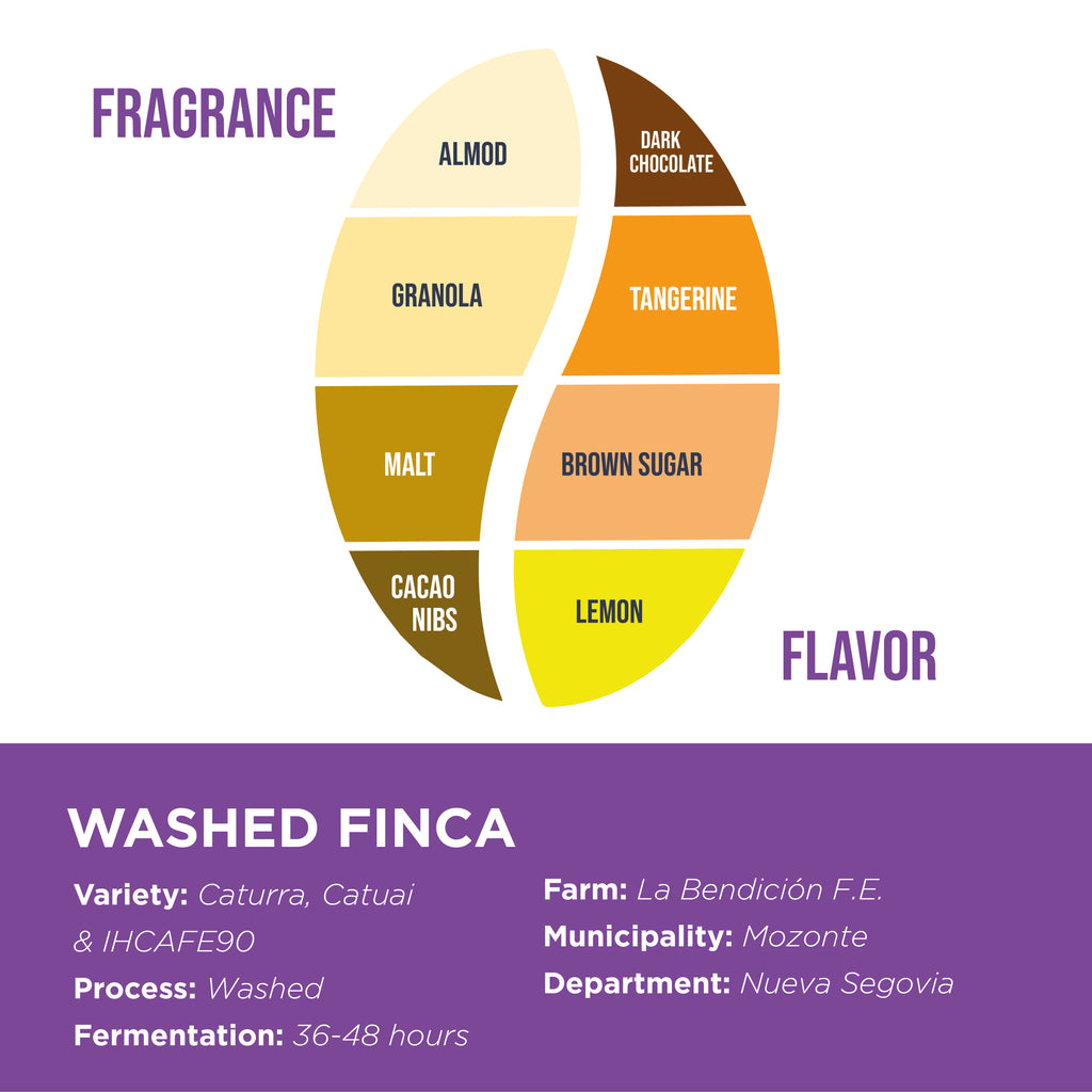 Washed Finca • Sergio Jarquín